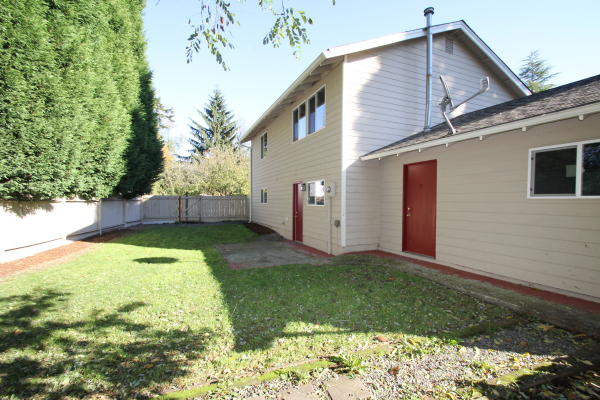 Lower level fireplace